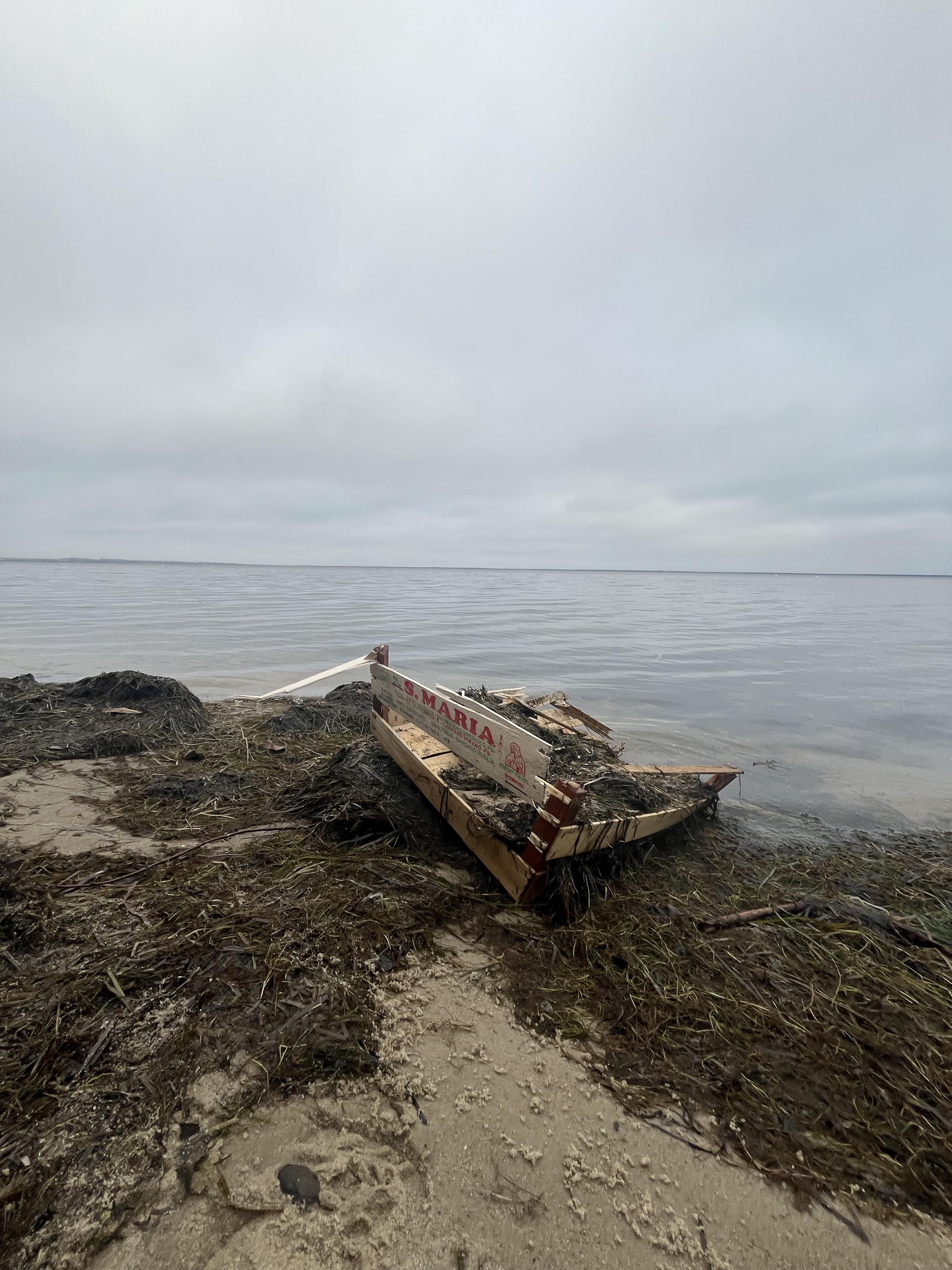 Photo of the year   Baltic Coast South  part – WASTE - GLOBAL PROBLEM.jpeg